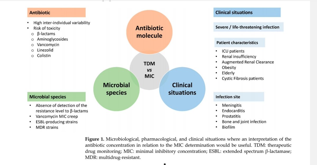 Antibiotic Steward Bassam Ghanem 🅱️C🆔🅿️🌟 tweet media