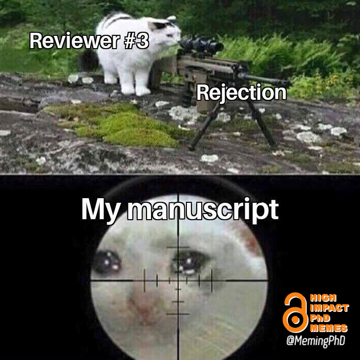 MemingPhD's tweet photo. Follow MemingPhD on Instagram: https://t.co/GiuZnz70jF

#PhD #phdlife #phdmemes #phdchat #phdforum #AcademicTwitter #AcademicChatter #academia #research #phdvoice #phdcandidate https://t.co/oPLtGlqI2Q