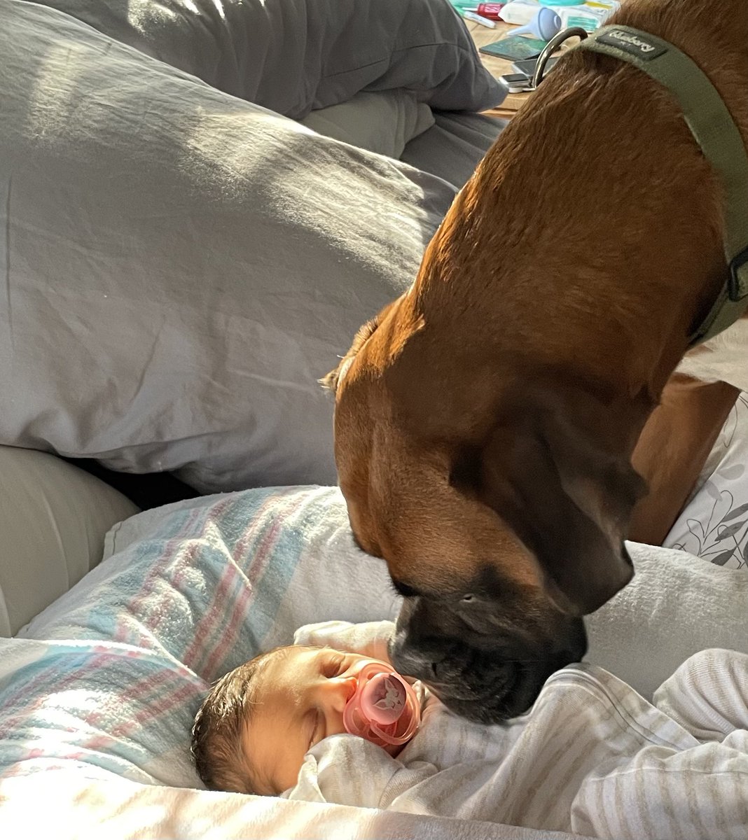 EB Jam Radi⭕️📡 tweet media