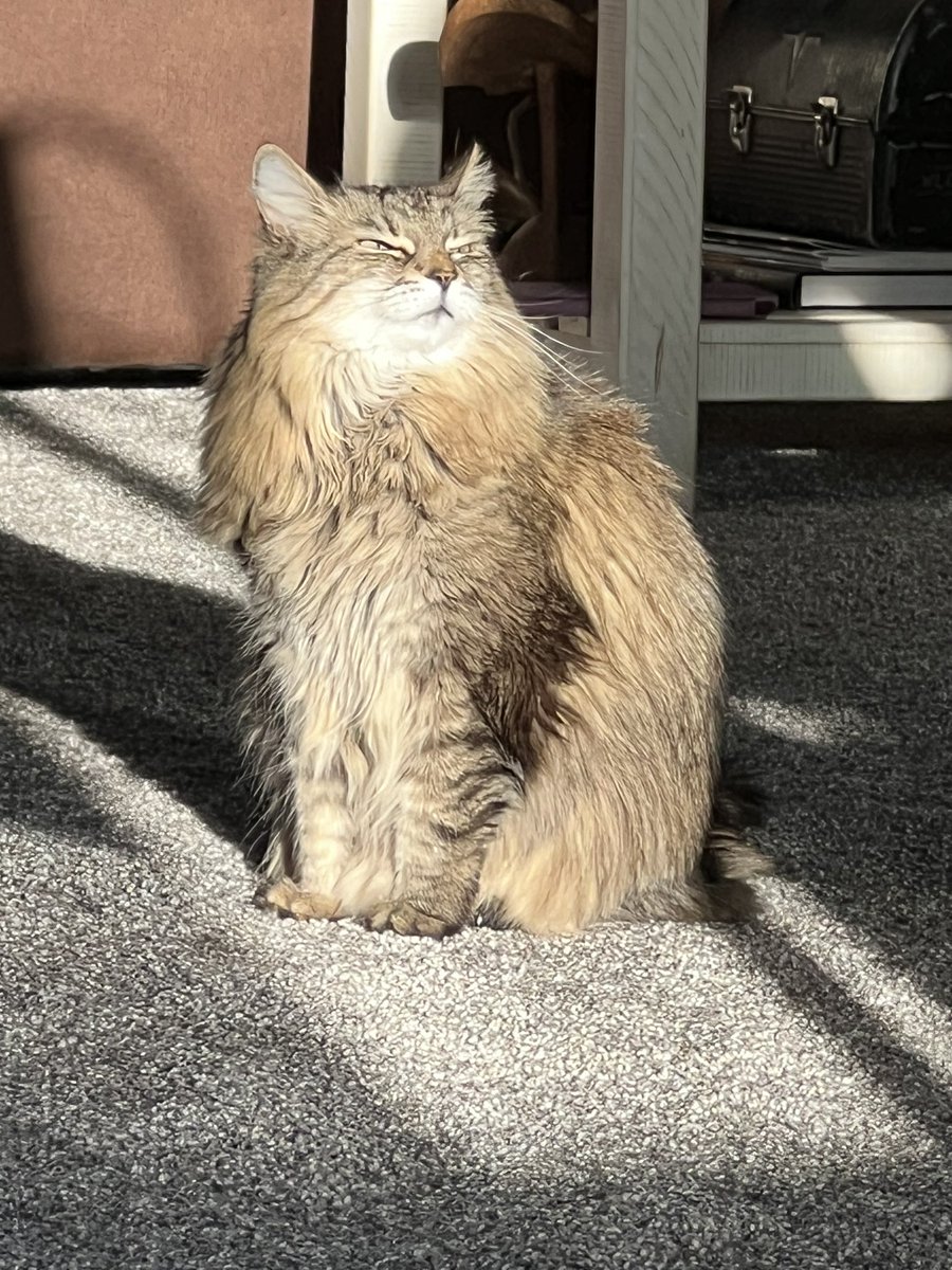 1quartlow's tweet image. Max living his best life. #slackerlife #lifeofmax