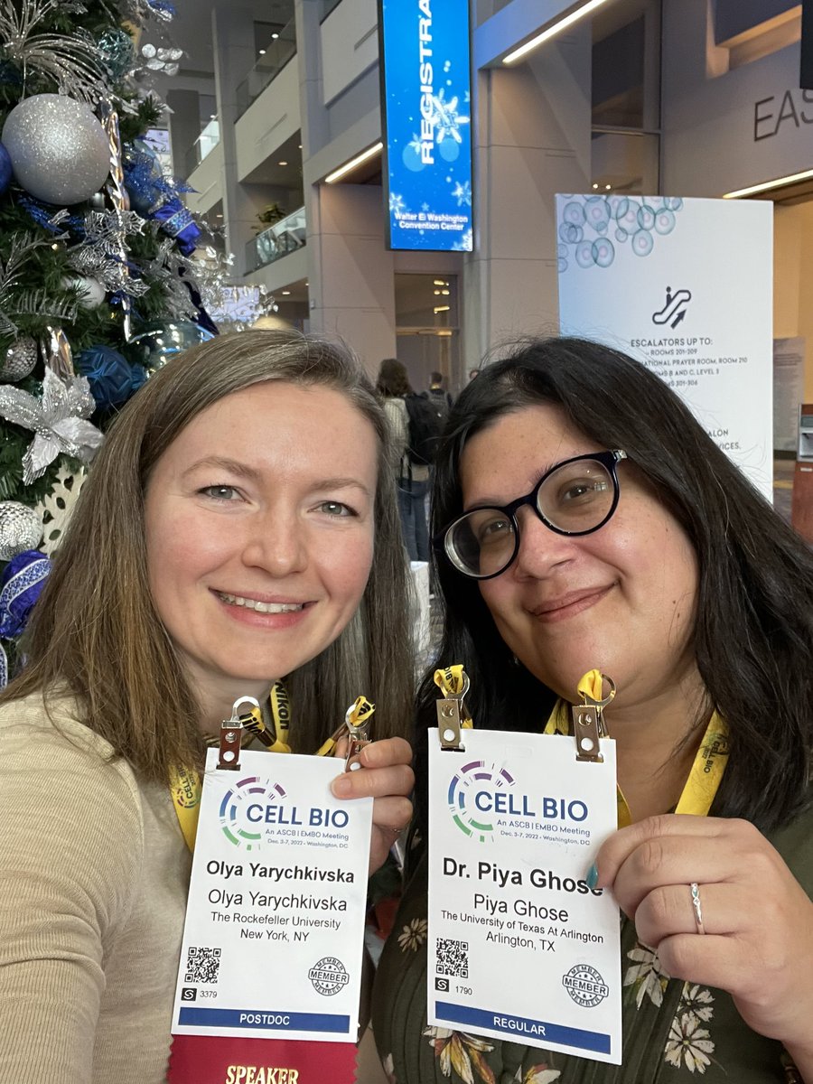 Olya Yarychkivska 🇺🇦🇺🇸🔬 tweet media