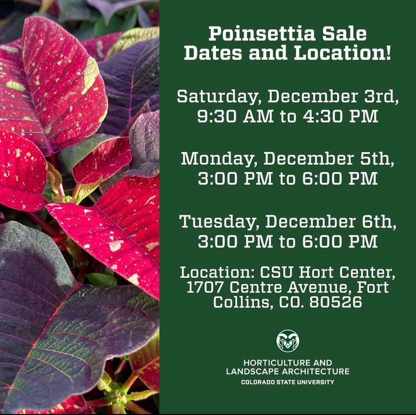 @DSchatteMD tweet media