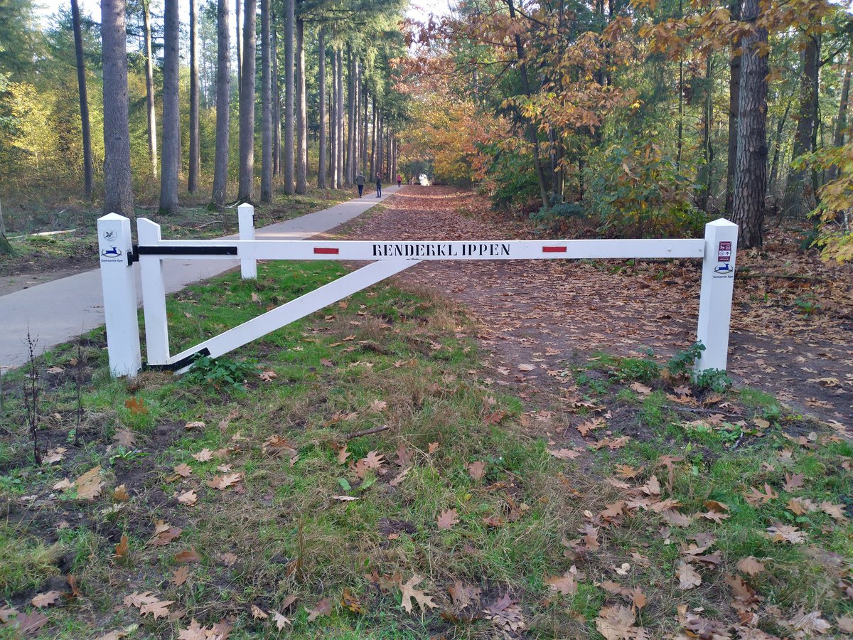 Walking near my home town Epe.Veluwe.Always amazing the different colors of the leaves during Autumn.