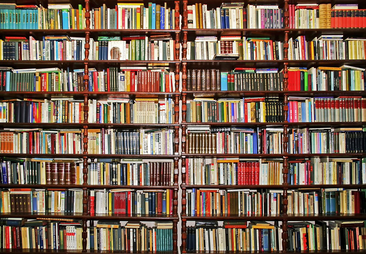 Kim McNeill •📚🍂☕️ tweet media