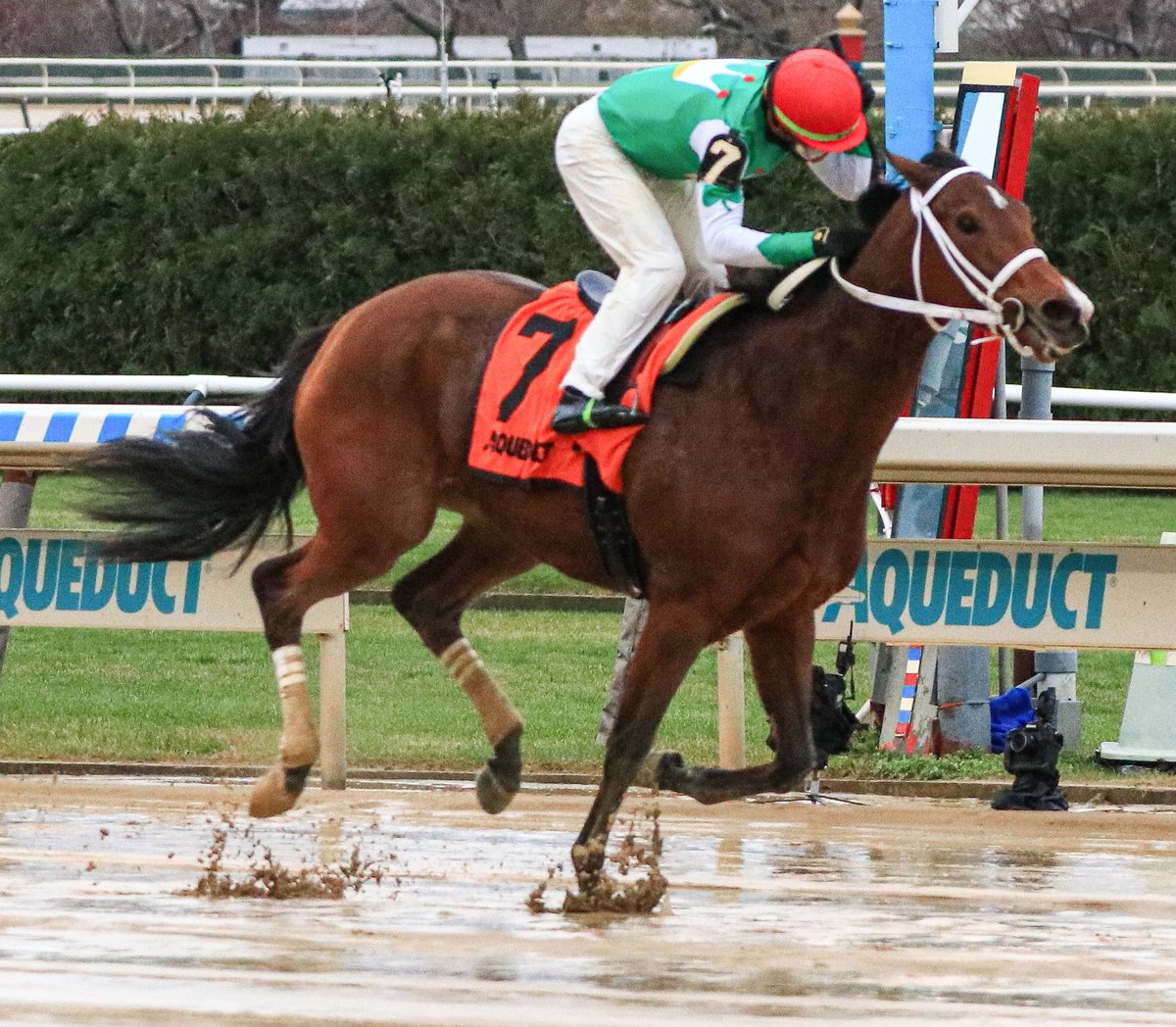 saberonyx's tweet photo. #DrB takes the #GoForWand with @iradortiz winning his 77 stakes race this year @Justify3107 @SadandSulk @TheNYRA @ItsmeEddieC @tswilson30 @Roadwarrior627 @HorseRaceSite @andyserling @HorseToWatch @TheBigAStabile @TripleDeadHeat @DRFLivingston @racing_dudes #TheBigA https://t.co/TzAajmUs32