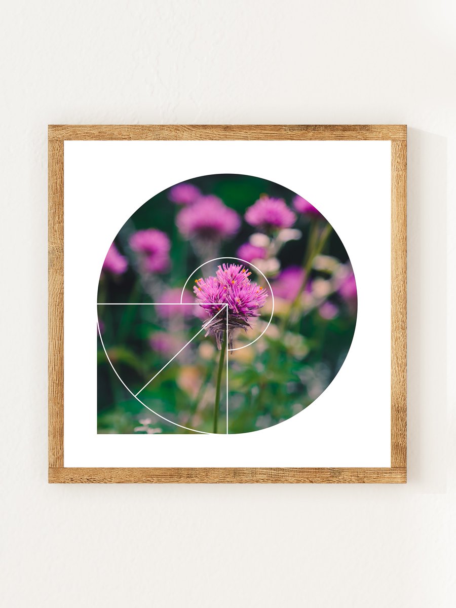RidgelinePhoto's tweet photo. fuchsia globe amaranths ftw 🌷 https://t.co/AGdaH2omI0

#handmade #etsyshop #smallbiz https://t.co/RQ0GVWXyXq
