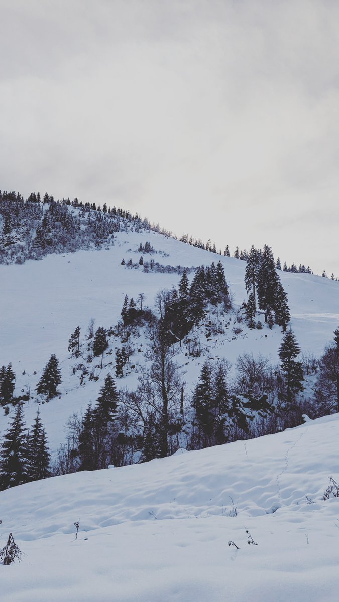 Today was a good day.
- <a href="/icecube/">Ice Cube</a>