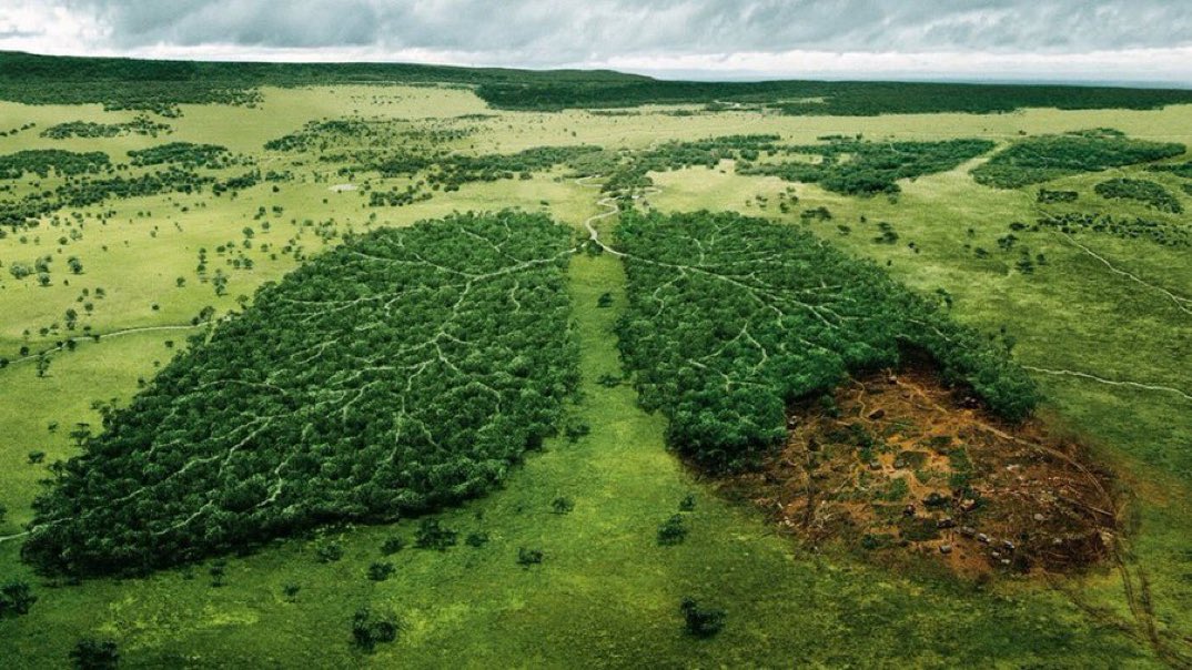 'Something to think about: The Earth is 4.6 billion years old. Let's scale that to 46 years. We have been here for 4 hours. Our industrial revolution began one minute ago. In that time, we have destroyed 50% of the world's forests. This is not sustainable.'