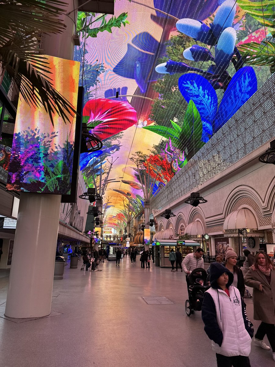 Great week learning at <a href="/NAAE/">National Association of Agricultural Educators</a> conference in Vegas! Rejuvenated. Refreshed. Ready. All to keep me at my best for my kids. Thanks to my administrators for allowing me to attend once again!