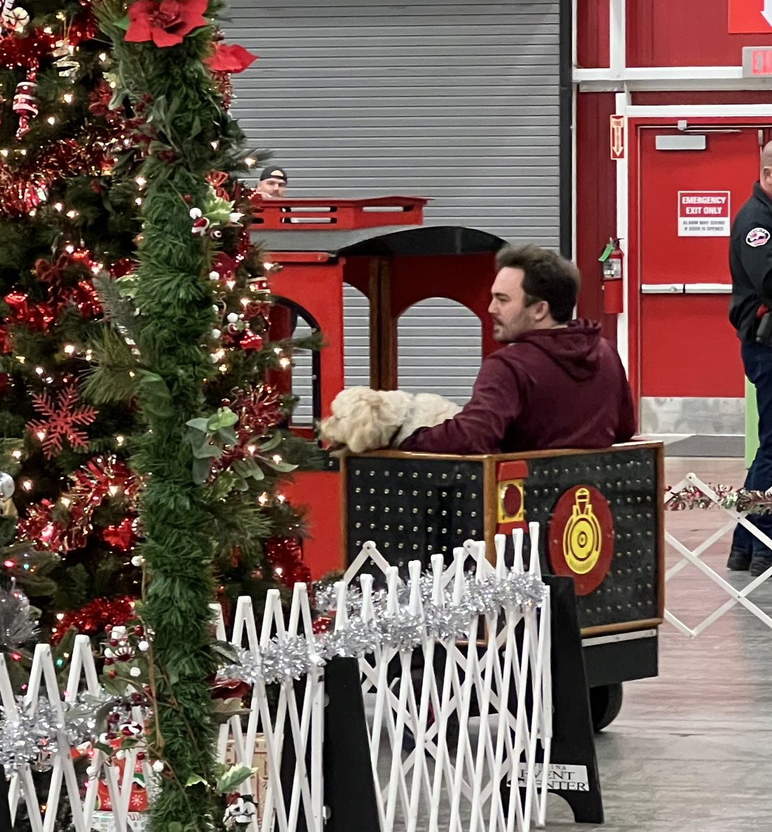 Me and dog hung out today