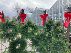 Meadow_View's tweet photo. #ChristmasDecorating #MVGChristmas #Wreath #Evergreen #christmasdecor #HappyHolidays #christmasiscoming #christmasspirit   #christmasseason #christmasinspiration #holidayseason #holidaydecor https://t.co/3rqZ8lurY0
