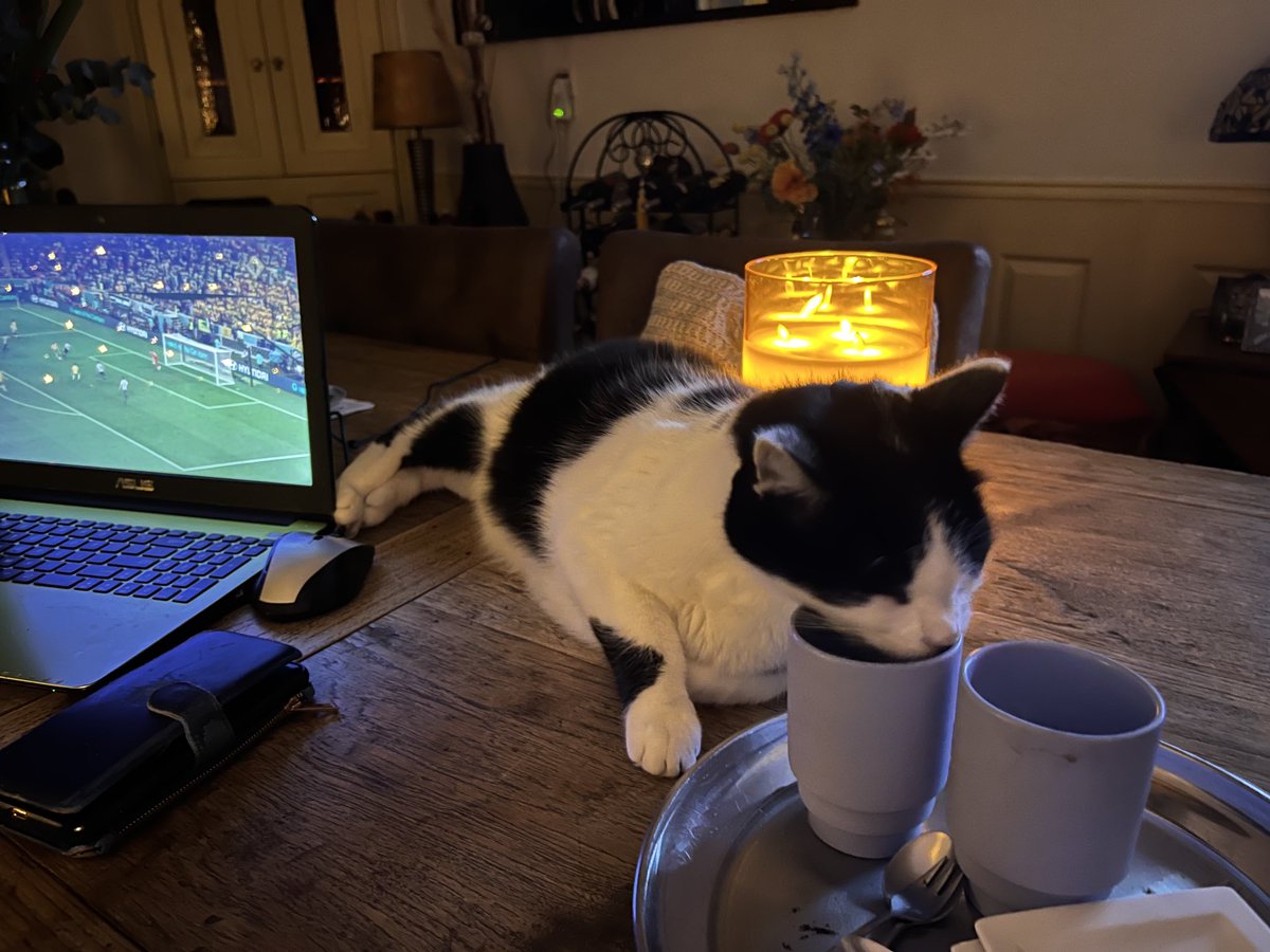 Bertinahu's tweet photo. Voetbal én chocolademelk, wat wil je nog meer. 😸 Maar wel gewoon blijven liggen. 🙀 https://t.co/8bXC58L9FU