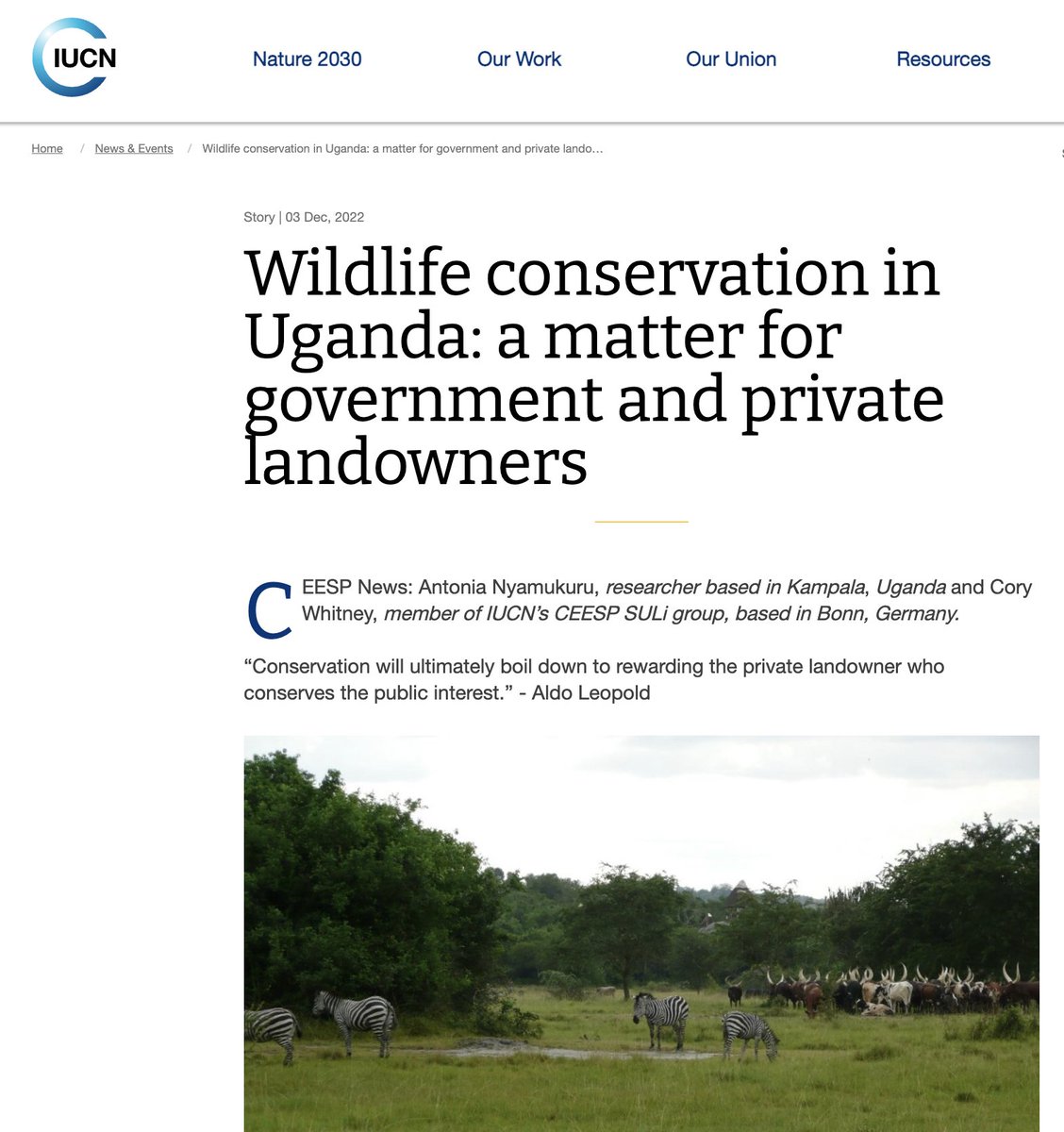Cory Whitney tweet media