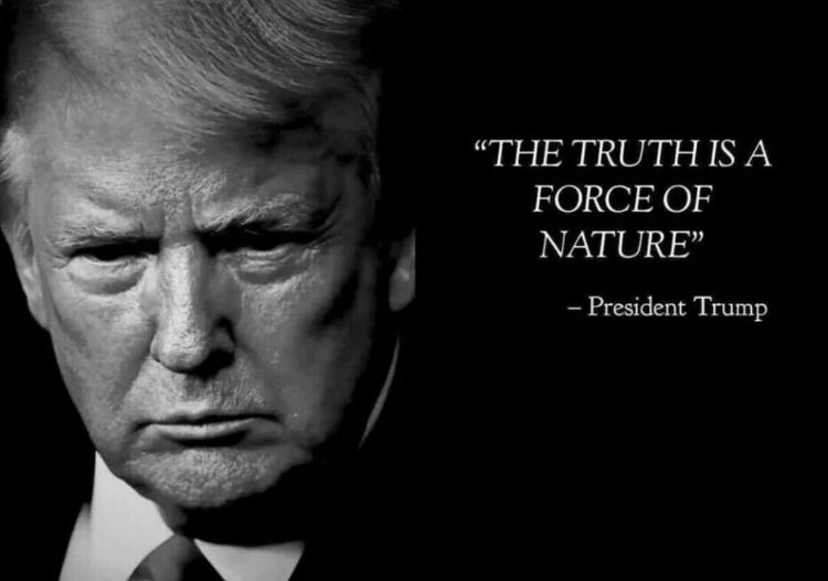 CaroK_nz4usa's tweet photo. @PapiTrumpo https://t.co/KjCxp8zglp
