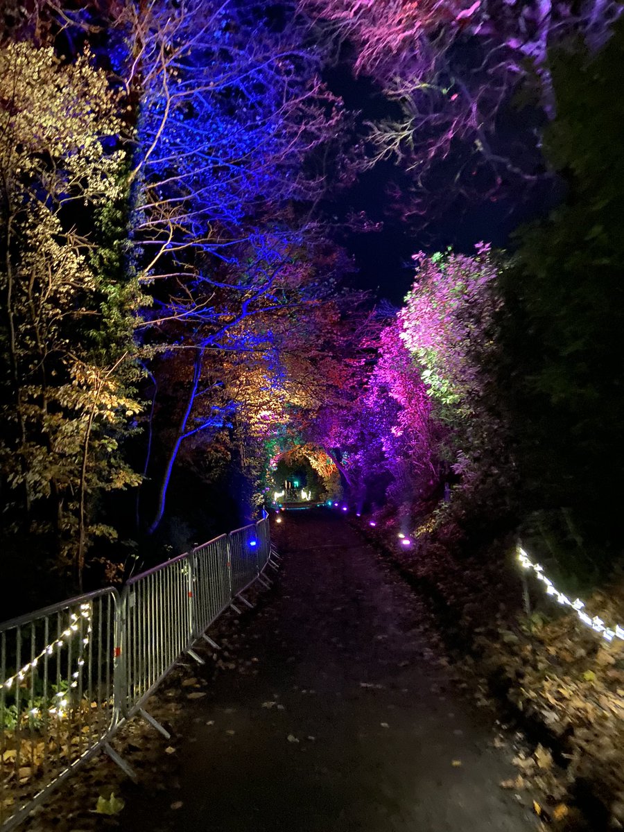 Caroline Cattini-Dow 🌱 tweet media