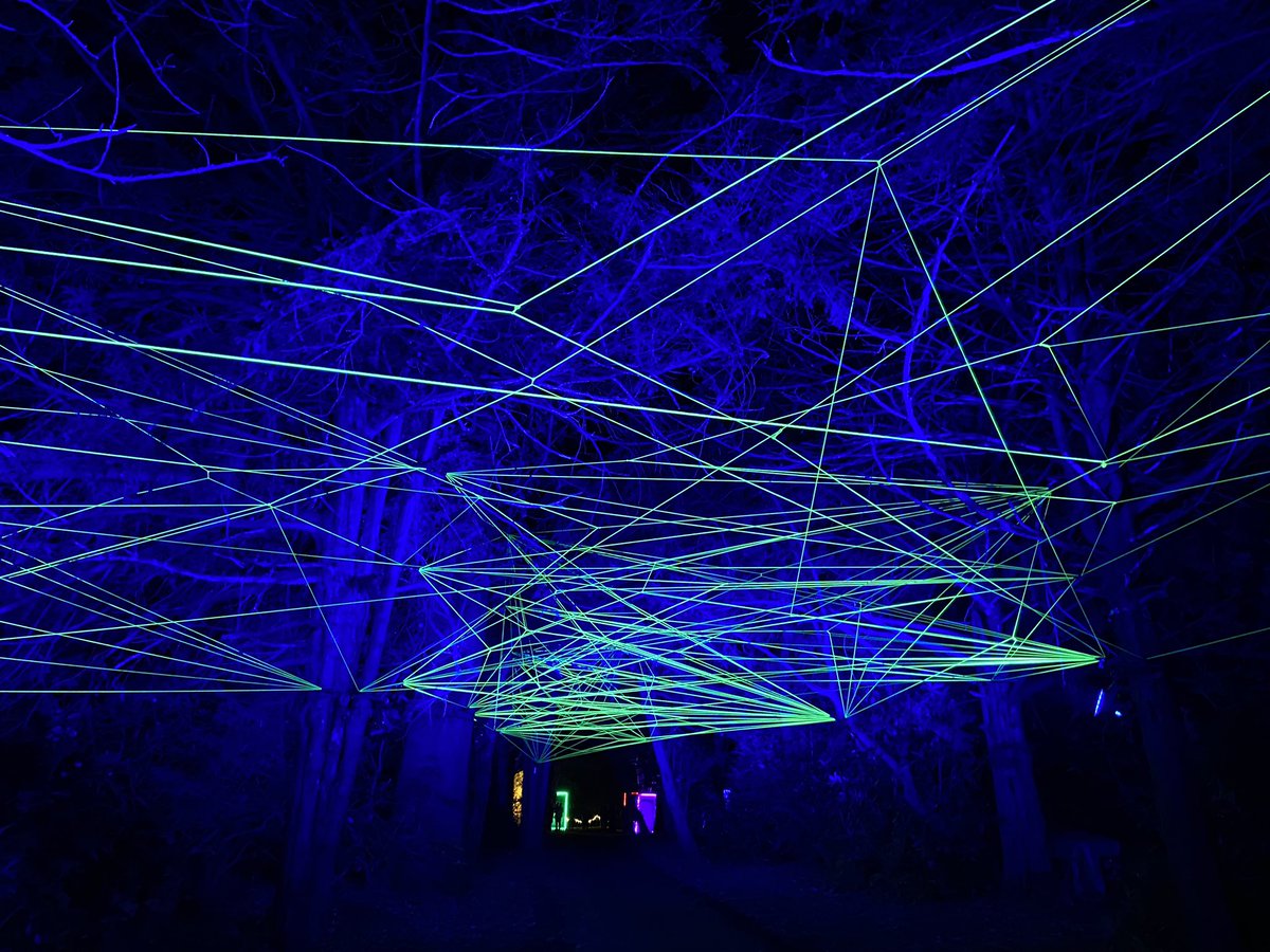 Caroline Cattini-Dow 🌱 tweet media