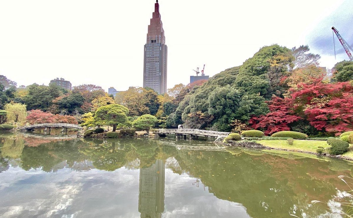km_group_jp's tweet photo. Shinjuku Gyoen National Garden
#tokyodrive #tokyotrip #tokyotour #tokyosightseeing #tokyolife #tokyonow #tokyotravel #thingstodointokyo #mytokyois #thingstodoinjapan #tokyotourism #観光タクシー #kmタクシー #東京観光タクシー #kmtaxi #tokyotokyo #東京観光 https://t.co/R1yRyFQKOr