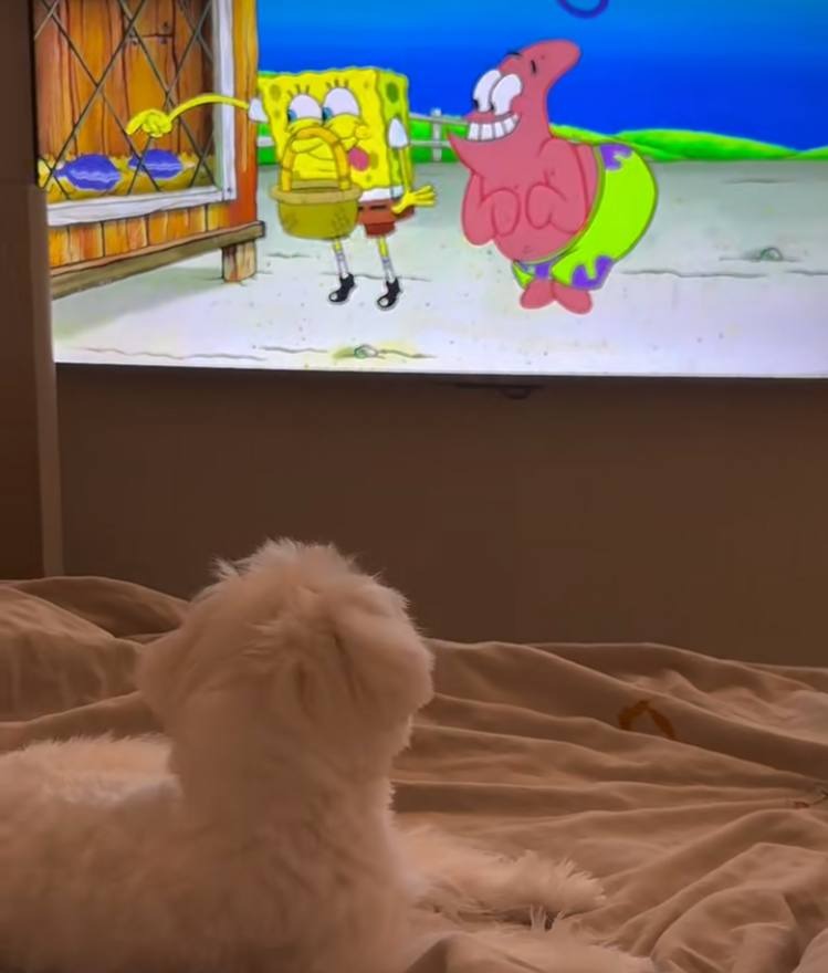 Hyojin634's tweet photo. Damn dog, don't let me watch the game, I have the urge to kick your ass. https://t.co/UgXfbZaQfV