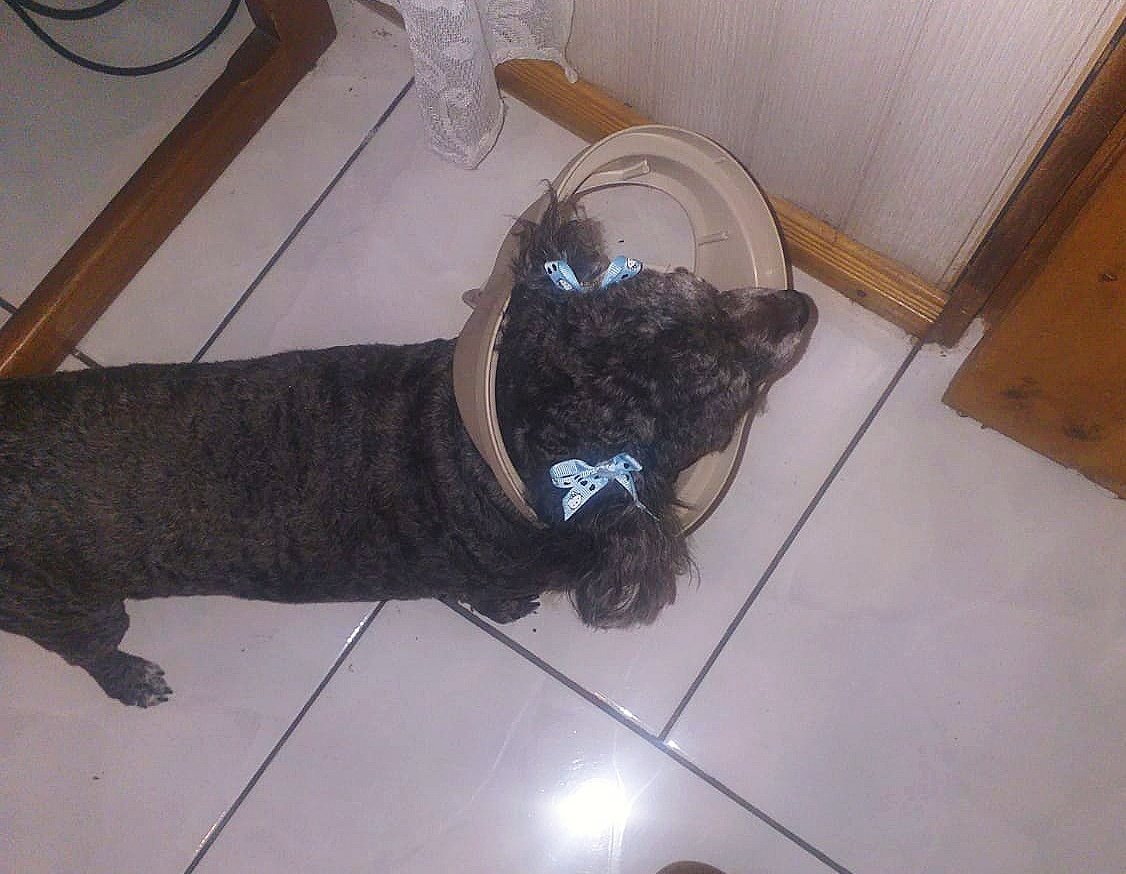 fui a buscarla y estaba así jjajaja😭