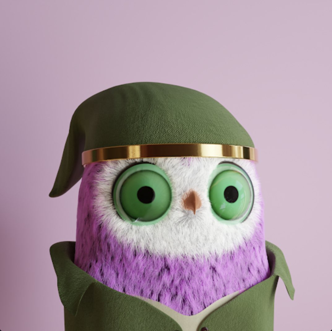 Bird_3D's tweet photo. 🦉 #hoothoot 

🪶S/O to @redactedspaces for rocking this amazing #3dbirds PFP #4293 

👀Giveaway in the space tonight 

❤️-♻️-🏷️ 2 frens &amp; be in the space today in about 6 hours. 

#nft #NFTGiveaways #web3 #3D https://t.co/hoyjfhncRc