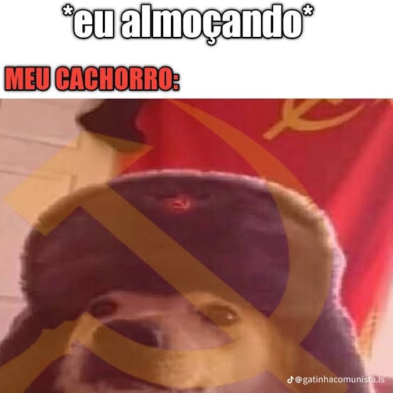 Eu tenho um problema. Toda vez que vejo um meme comunista eu preciso baixar mesmo que nunca vá usar, mas eu preciso de todos os meses comunistas que existem