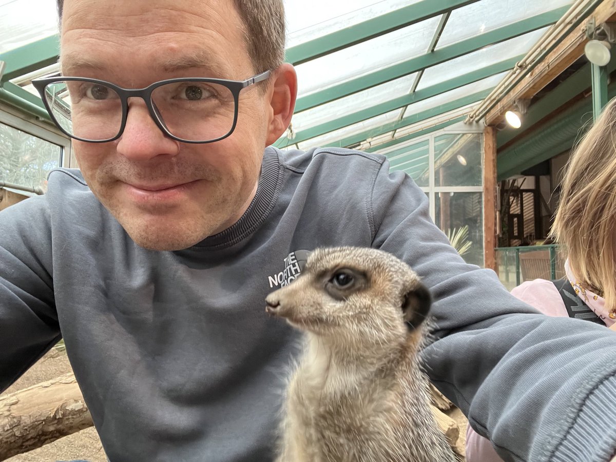 Karl Hammar tweet media