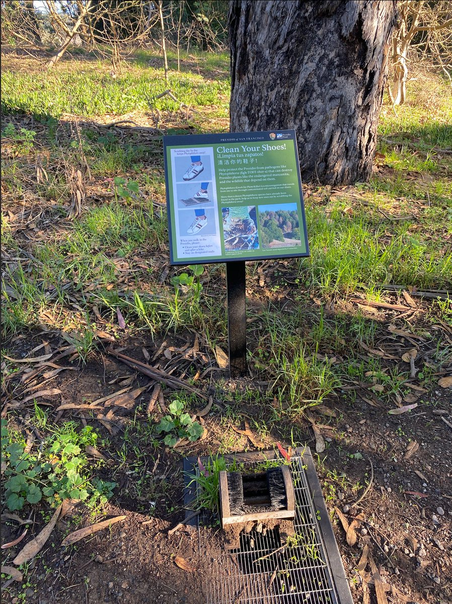 AllyHalliday23's tweet photo. Cleaning off your shoes with these devices throughout the Presidio is a great way to help prevent the spread of plant pathogens. To the the extra step, you can also spray off the soles of your shoes with ethanol! #consbioUSFCA #conservation #presidio https://t.co/bxMiDRVrIJ