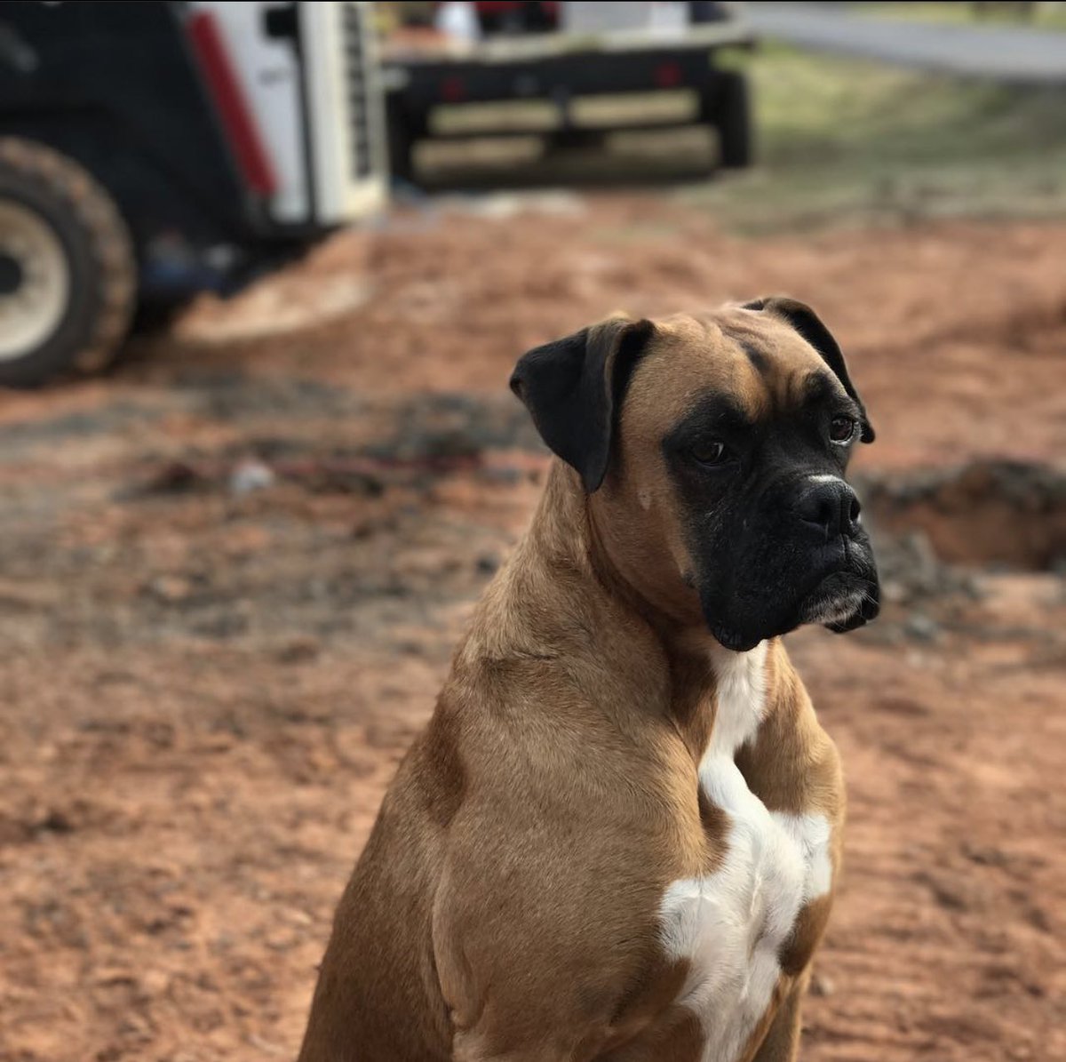 bubbaday's tweet photo. My buddy.  RIP Bruno. https://t.co/0IYsYHXd5q