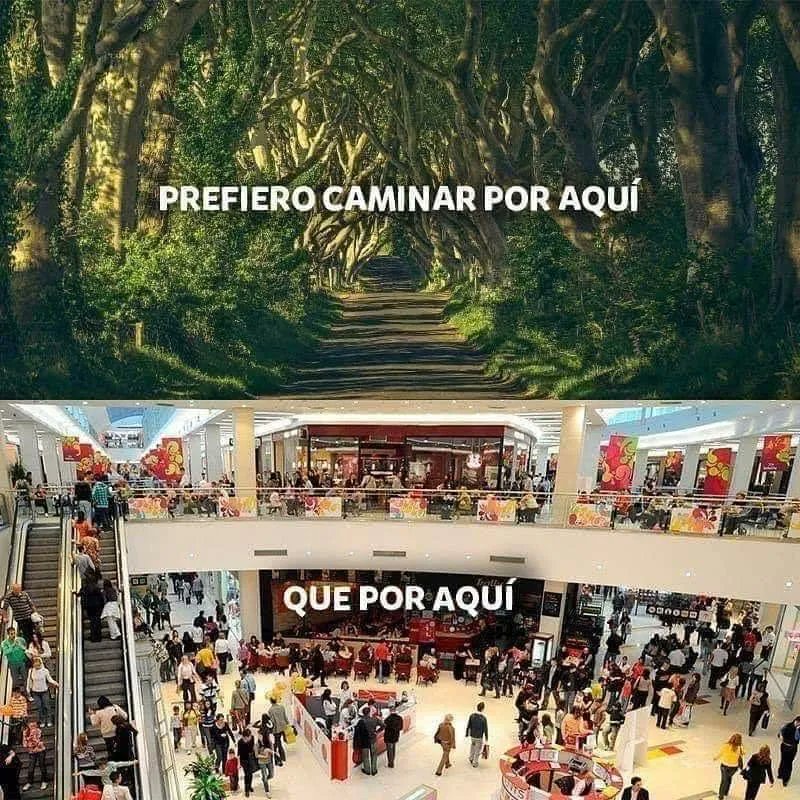 Prefiero pasear por aquí ¿Y tu?