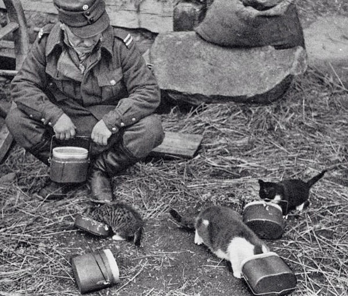 An army marches on its stomach, it's said, and here, a few WW1 troops are being fed and watered...