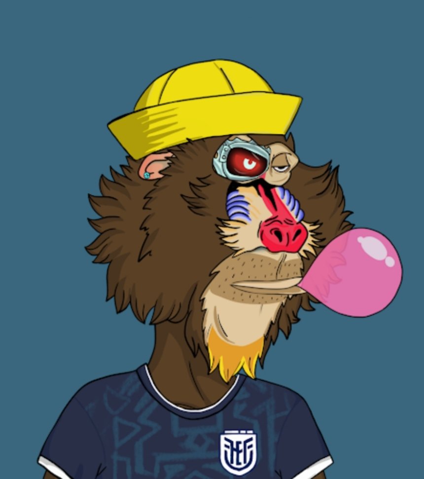 Apefootballcup's tweet image. choose the characteristics of your soccer world cup NFT! Free Mint

@Apefootballcup 

#NFTCommmunity #NFT #nfteth 
@neymarjr