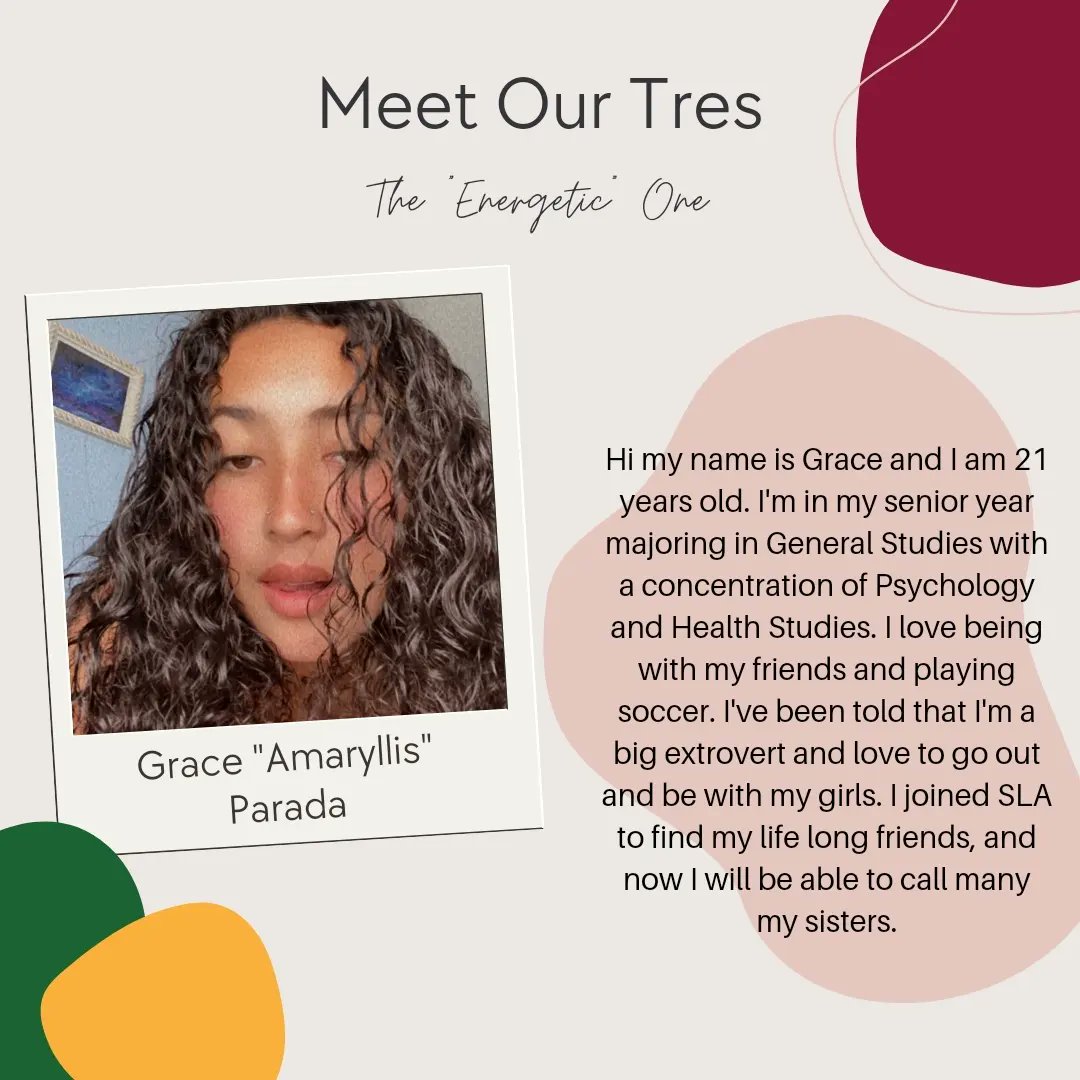 TWU Señoritas tweet media