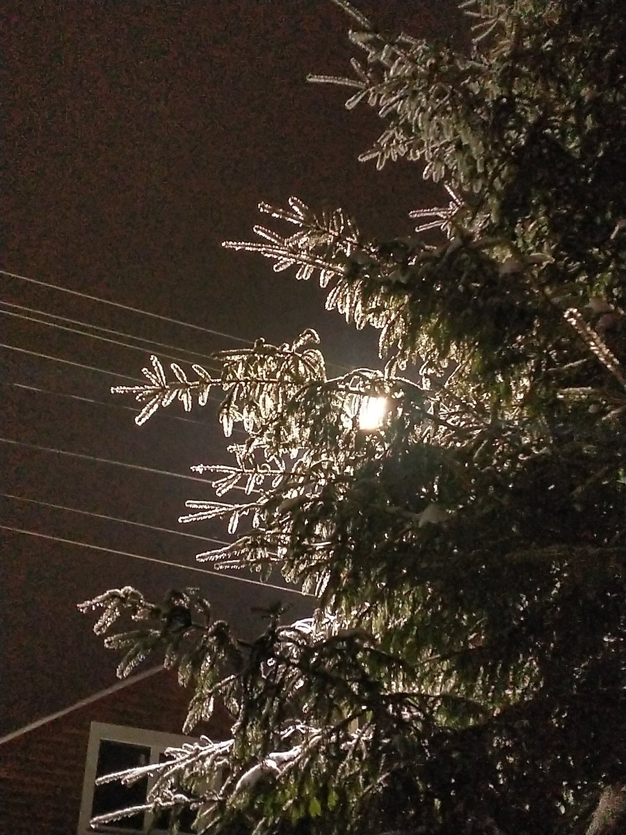 kot_xe's tweet photo. Влетаю с ноги:D
И улетаю дальше мсс смотреть✨

(Была как-то на даче.... И эти две фотки получились путём игры с балансом белого, да) https://t.co/HOXRlaEauP