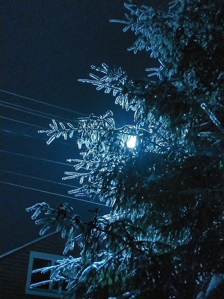 kot_xe's tweet photo. Влетаю с ноги:D
И улетаю дальше мсс смотреть✨

(Была как-то на даче.... И эти две фотки получились путём игры с балансом белого, да) https://t.co/HOXRlaEauP