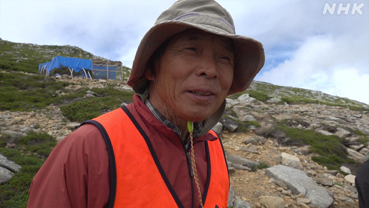 ダーウィンが来た! on Twitter