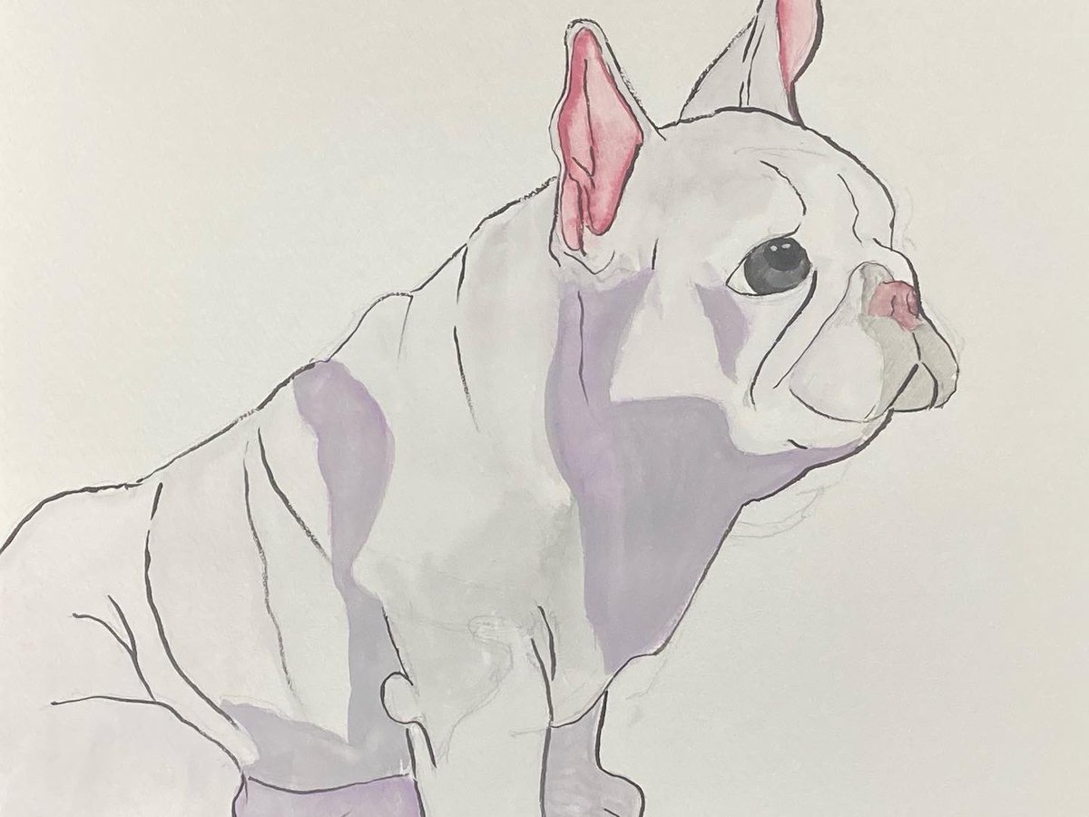 Gozu0929's tweet photo. フレンチブルドッグ

#水彩画 
#絵描きさんと繋がりたい https://t.co/rz6vFufIib