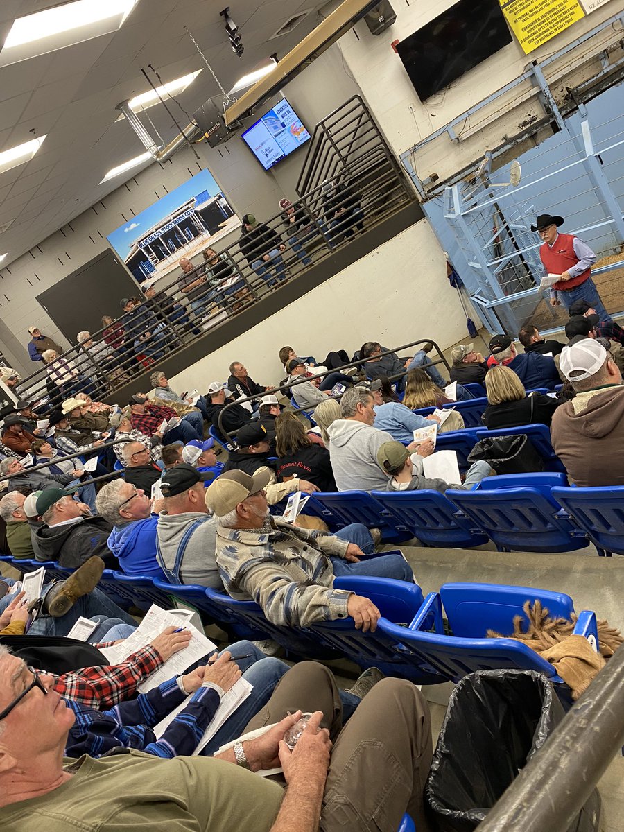 morganpldhrfd's tweet photo. Packed sale floor today at the Bluegrass Stockyards in Lexington for the Kentucky Hereford Association Autumn Sale. #AHA https://t.co/j5VdRSR90P