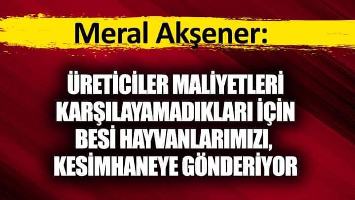 EYT Osman Topçu KIRKLARELİ (@osmanto49275027) on Twitter photo 