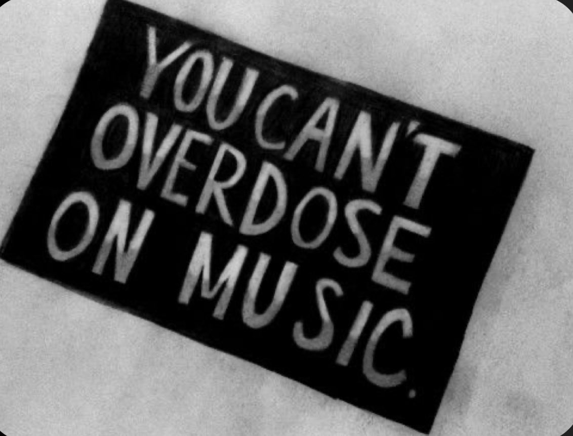 Believe me , I’ve tried !! 🎶🎶 #music #musiclover #musicismydrug