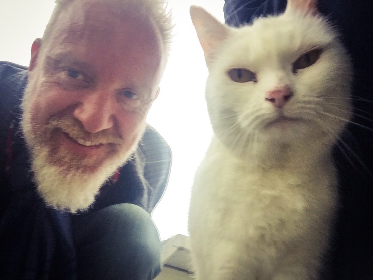 thechrisbarron's tweet photo. Happy #Caturday, all my cat freaks. https://t.co/iwhlby6oiG
