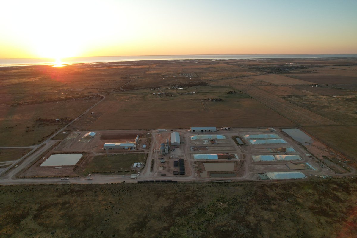 Damien Crossling tweet media