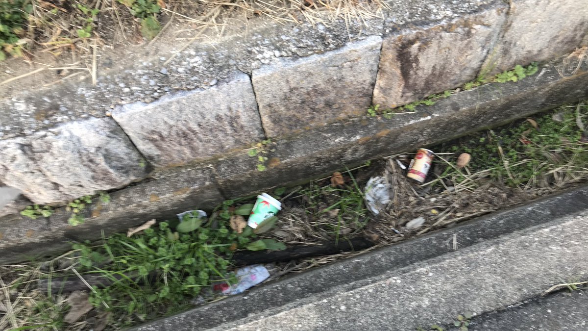 Rizaschnauzer's tweet photo. ゴミ拾いしながら散歩しています。
袋が破裂したので一旦帰宅😱
タバコ🚬とかまだ食べてしまうため、いや、その前に見た目が好かんので拾っています。 https://t.co/TCH0WA0FmU