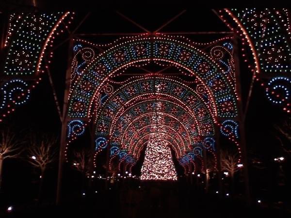 lezzdoothis's tweet photo. Really missing these dudes today. #epcot #lightsofwinter https://t.co/GSlWeoyups
