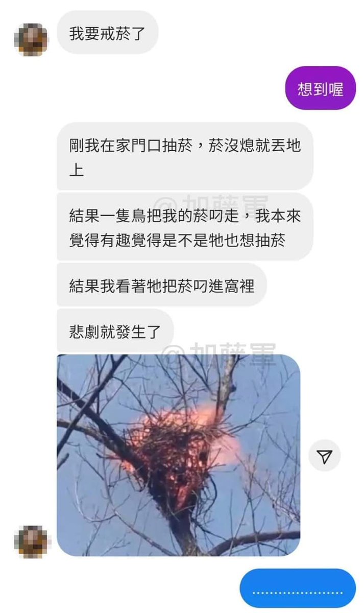 liltukuti's tweet photo. 抽菸bad😢 https://t.co/wPpppTNGHk