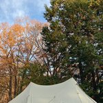 TOnoさき⛺️のツイート画像