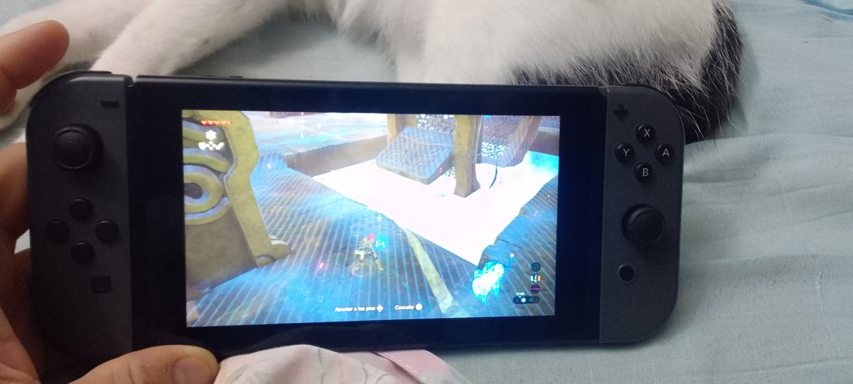 CarreroEdel's tweet photo. Admin unblock new toy 😎🙌
#gamer 
#forevergamer 
#NintendoSwitch 
#ZeldaBreathOfWild https://t.co/oEalDw8PHq