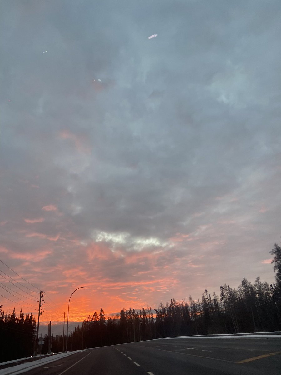 gauravrai27's tweet image. 🗓 November Review

👨‍💻Actively Job Hunting
🔥 Avg 13.6k Steps ~ 9km avg per day (streak of 3 active months)
✨ Meditating on a beautiful morning view was the best moment of November.
😴 I gain negative sleep debt (it’s a good indication of sleep quality)
🧘🏻‍♂️ Meditated: 17/30