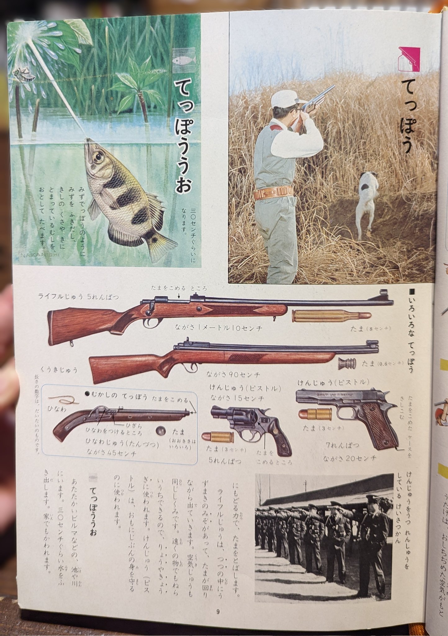 幼・小一貫の学びを創る「生活科・総合的学習の改革