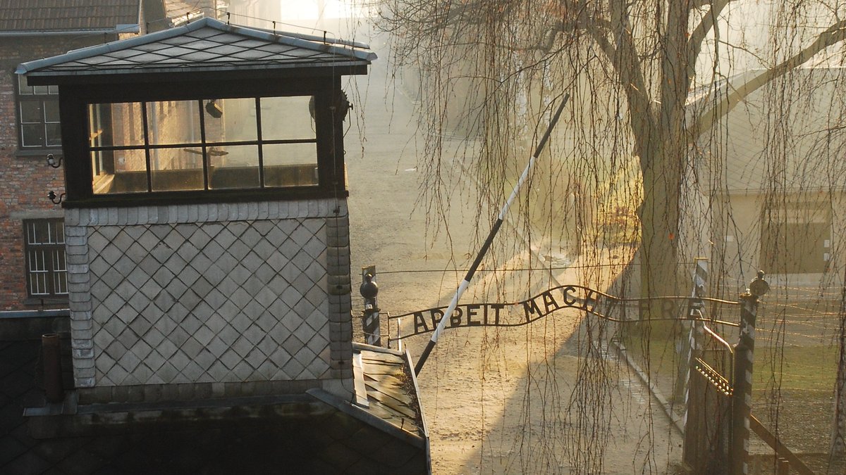 We welcome 45,000+ followers who joined us in the last 7 days. 
Use &amp; share our online materials on the history of Auschwitz.

🔹e-lessons: lesson.auschwitz.org
🔹podcast: podcast.auschwitz.org
🔹magazine: memoria.auschwitz.org 

Thank you for remembering with us.