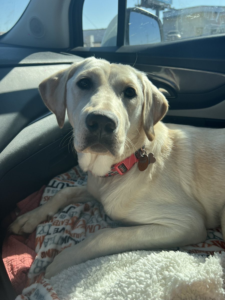 LondonBonner's tweet photo. ✨willow✨ https://t.co/EzzB1Asgtt